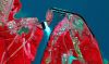Filename=IRS_5,8m__g,r,ir_02.jpg
Filesize=231KB
Dimensions=1339x797
Date added=Mar 09, 2008 IRS_5,8m__g,r,ir_02.jpg